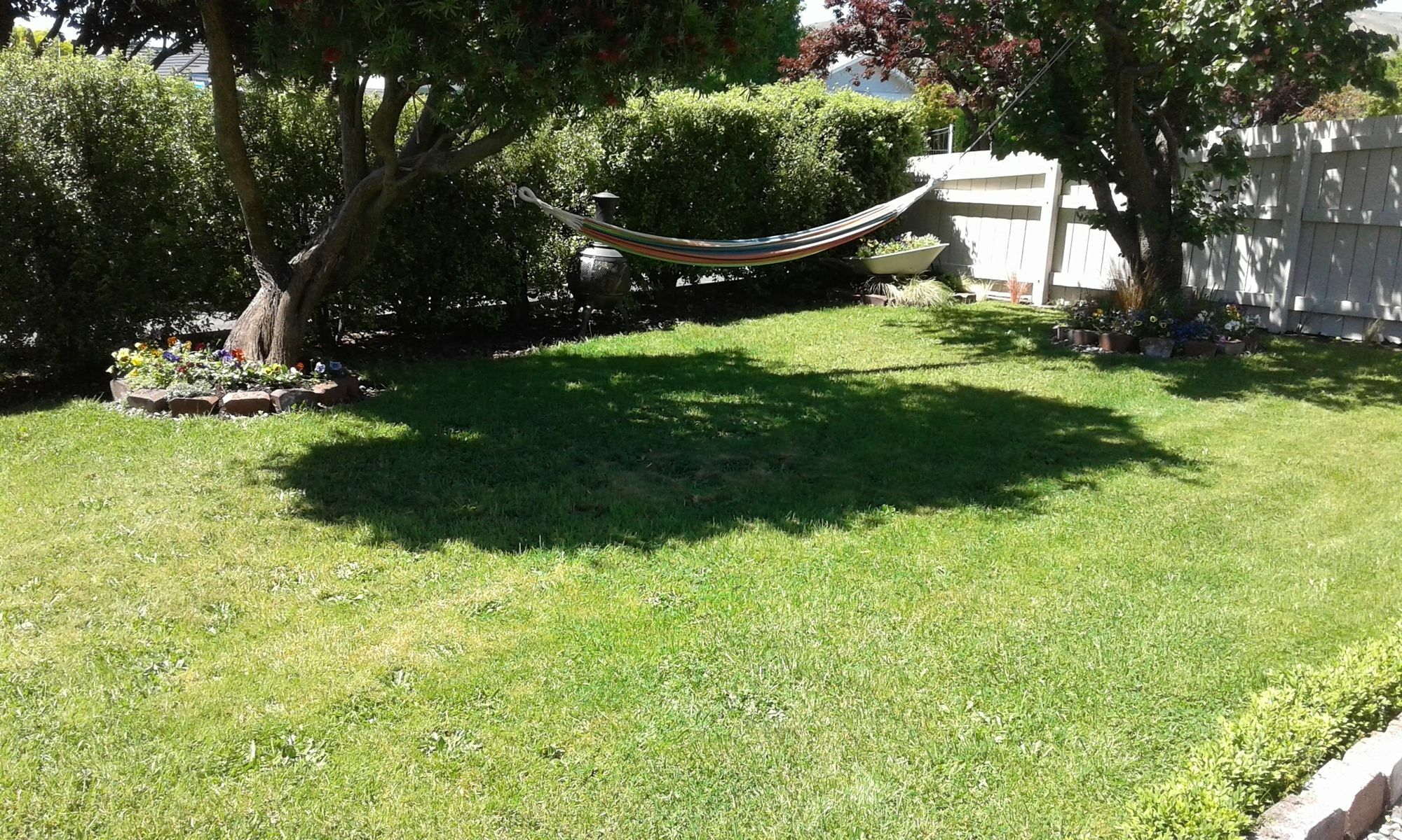 ביאנהיים Coeden Cottage מראה חיצוני תמונה